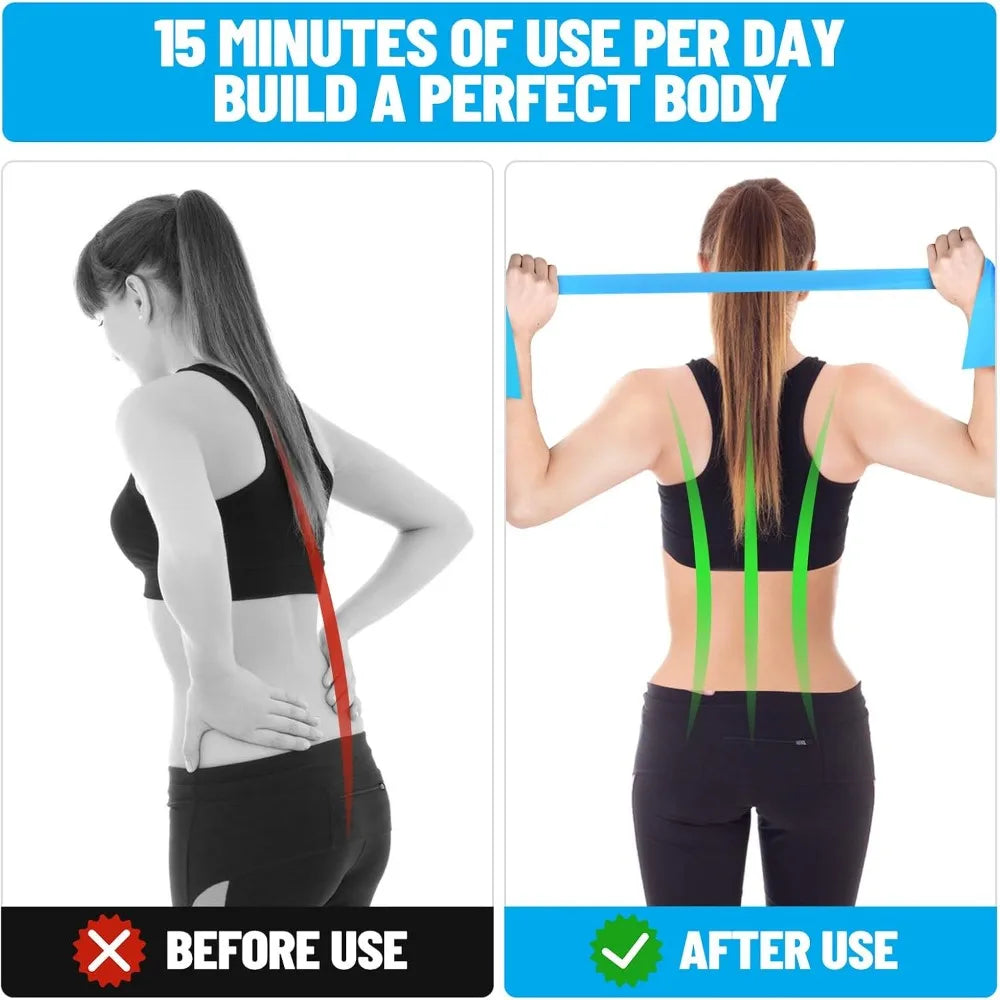 Professional Exercise Resistance Bands Set for Strength Training Yoga Pilates Stretching Physical Therapy and Muscle Recovery Stretch Elastic Workout Bands with Carrying Case for Home Gym Fitness Workouts for Men Women