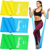Professional Exercise Resistance Bands Set for Strength Training Yoga Pilates Stretching Physical Therapy and Muscle Recovery Stretch Elastic Workout Bands with Carrying Case for Home Gym Fitness Workouts for Men Women