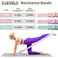 Stretch Bands Set for Exercise Resistance Bands for Workout Physical Therapy Pilates Rehabilitation Stretching Strength Training and Yoga Starter Kit